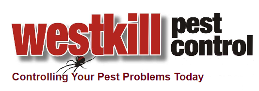 Westkill Pest Control